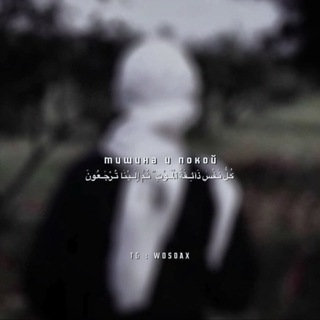 Telegram profile photo for 𐍪ⲟ᥉ⲟⲁⲭ ོ 🕷