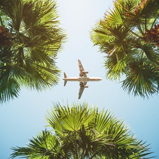 Telegram profile photo for Fly Cheaply ✈️