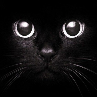 Telegram profile photo for Любители животных Самара