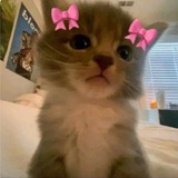 Telegram profile photo for 🎀Kittyss\\shop🎀
