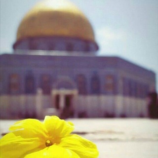 Telegram profile photo for "فَاسْتَبِقُوا الخَيْرَات" | 💛🌻