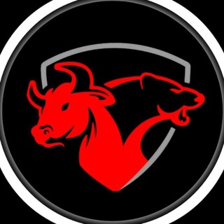 Telegram profile photo for BigBull 📢 Gambles