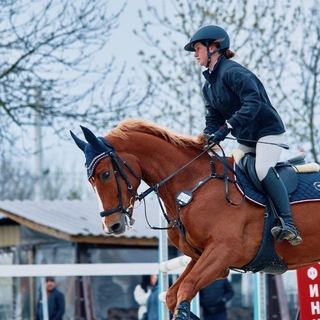 Telegram profile photo for 🐎🩶