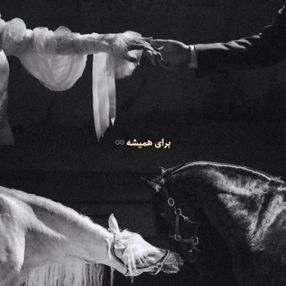 Telegram profile photo for Diaries