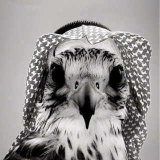 Telegram profile photo for جحدري.