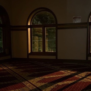 Telegram profile photo for " رِفدٌ "