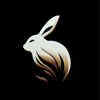 Telegram profile photo for Moontok 月兔