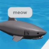 Telegram profile photo for Эщкерехехехехе