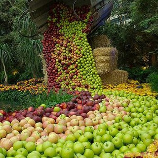 Telegram profile photo for Плодовый Сад