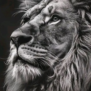 Telegram profile photo for لـ لاجــ░ــــل نــــفــــ👍ـــــســي