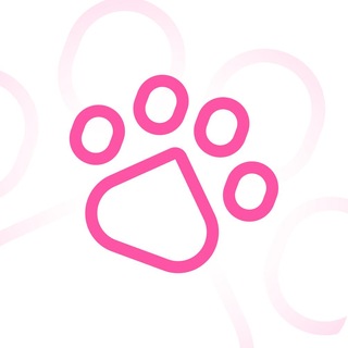 Telegram profile photo for Cats VPN