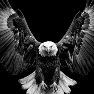 Telegram profile photo for Кастанеда. Учение дона Хуана