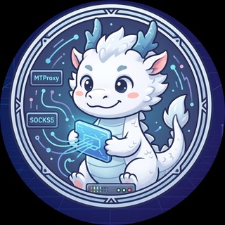 Telegram profile photo for 小白龙内置节点
