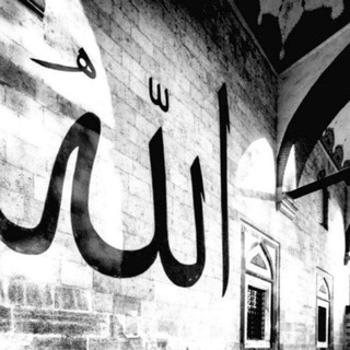 Telegram profile photo for Islam ☪️