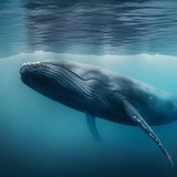Telegram profile photo for Китовые Движения