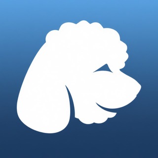 Telegram profile photo for MALTIPOO BLOG | мальтипу чат