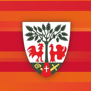 Telegram profile photo for Гурьевский округ