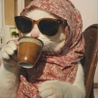 Telegram profile photo for zaza