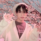 Telegram profile photo for Bunny code