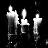 Telegram profile photo for Maui Wowie ..