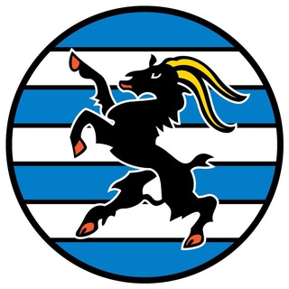 Telegram profile photo for Security updates about Grindavíkurbær - Góður Bær - Grindavík Safety News about Earthquake / Volcanoes in Iceland