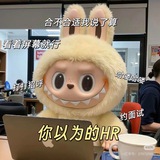 Telegram profile photo for 菜菜HR
