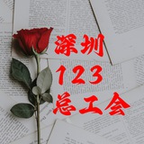 Telegram profile photo for 深圳123总工会 临时频道