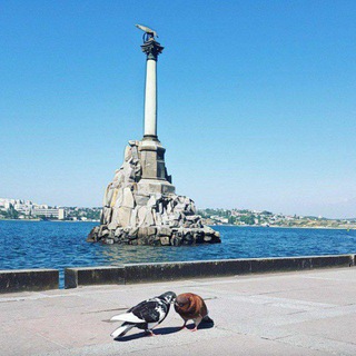 Telegram profile photo for Недвижимость Севастополя. АН Акватория