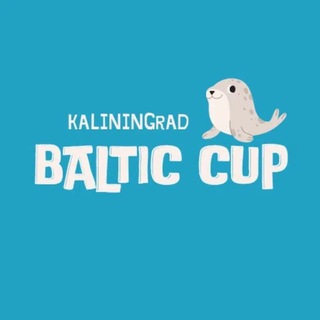 Telegram profile photo for Baltic cup Кубок Балтики 2026