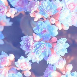 Telegram profile photo for " صَبْرآ جَمِيلآ " 🌿