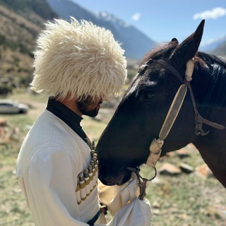 Telegram profile photo for КОННЫЕ ПРОГУЛКИ ПОХОДЫ 🏇🏻🏕ПРИЭЛЬБРУСЬЕ "best walks"