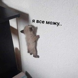 Telegram profile photo for В закрытой комнате