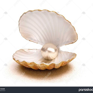 Telegram profile photo for پوشاک بچه گانه صدف (حسامیه)
