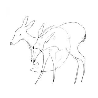 Telegram profile photo for dir polimanski