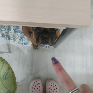 Telegram profile photo for Мемы на любой вкус