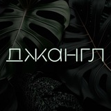 Telegram profile photo for Джангл • Долгопрудный