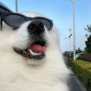 Telegram group profile photo for 天im0.5对接群(色料/金融)