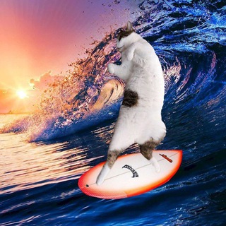 Telegram profile photo for Lekanal