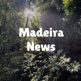 Telegram profile photo for Madeira News · Funchal
