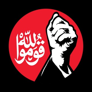 Telegram profile photo for مرصد