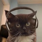 Telegram profile photo for ʀɪςⲏɪ૯