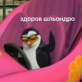 Telegram profile photo for дурка кори