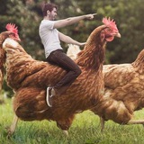 Telegram profile photo for Олиса Аддамс