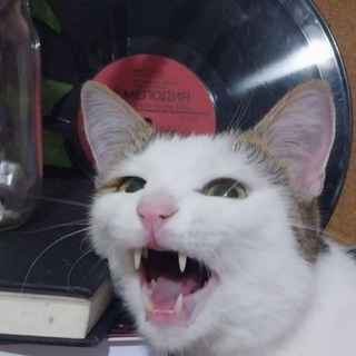 Telegram profile photo for ZohraYoldoz