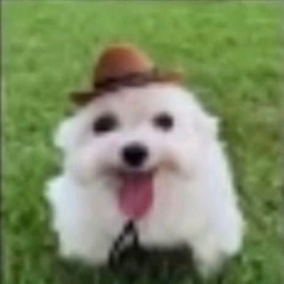 Telegram profile photo for Рейлооо