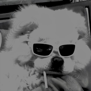 Telegram profile photo for #INVEL