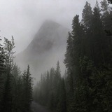 Telegram profile photo for смерть на крыше