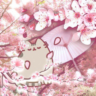 Telegram profile photo for Переходник female body cf