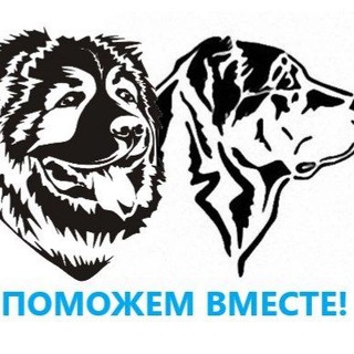 Telegram profile photo for Поможем вместе 39