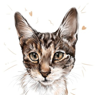 Telegram profile photo for Что мне понравилось (другой)
